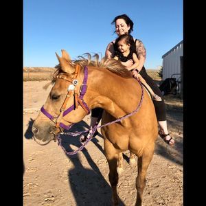 Meet your Posher, Holly